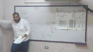 biochemistry  1st year  oncogenesis part 1 3 [upl. by Kajdan]