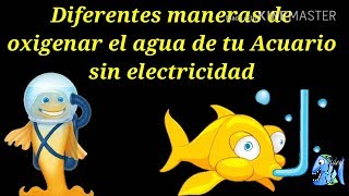 Diferentes maneras de oxigenar el agua de tu Acuario sin electricidad [upl. by Idet481]