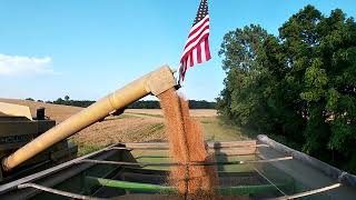 1586 Back On The Grain Cart [upl. by Lunetta]