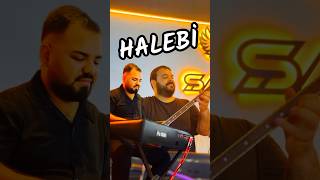 Bu Halebi Başka Bir Güzel 🫶hatay iskenderun dersimliserdar halebi bağlama gt100 [upl. by Elane]