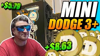 Mining Doge at Home Mini Doge 3 [upl. by Oric]