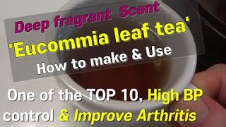 Hypertension amp Arthritis Improve Eucommia tree leaf tea [upl. by Yelroc]