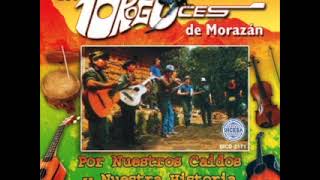 vamos a la lucha Karaoke Los Torogoces de Morazan [upl. by Engle]