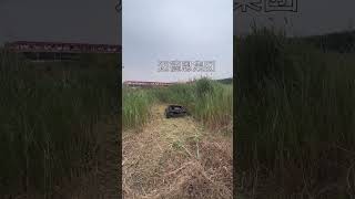 Remote Control Smart Lawn Mower Weeding Artifact Lawn Mower Weed Removal One Machine viralvideo [upl. by Dail]