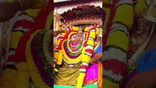 ஓம் நமசிவாய l Sivan Video sivan shiv Tiruvannamalai annamalaiyar girivalam arunachalam lord [upl. by Luwana]