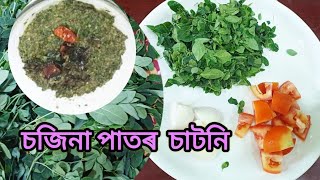 চজিনা পাতৰ চাটনি  Drumstick Leaves Sojina pator chutney [upl. by Varini854]