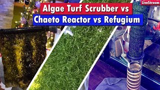 Algae Turf Scrubber Vs Chaeto Reactor Vs Refugium  Which nutrient export system is best for you [upl. by Martinson]