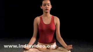 Yoga asanas for beginners  Padmasana the basic posture [upl. by Esele]