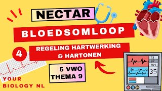 5 vwo  Bloedsomloop  4  Regeling hartwerking amp harttonen [upl. by Erehc]