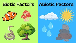 Biotic and Abiotic Factors [upl. by Llorre109]