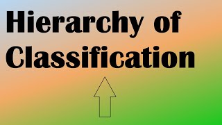 Taxonomic Hierarchy of Classification Explained [upl. by Halivah159]