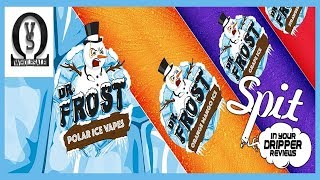 EJUICE REVIEW  DR FROST ELIQUID [upl. by Alletneuq]