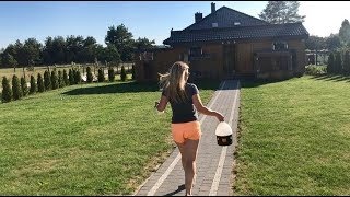 VLOG 23  MARATON 750 km  12 lot konkursowy gołębi  Bad Bentheim 14 07 2019 [upl. by Beverlee]