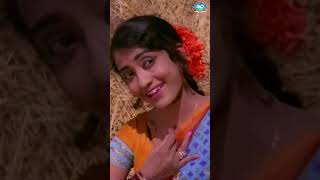 Thangali Sangeetha  Sipayi Ramu  ಸಿಪಾಯಿ ರಾಮು  Ashwath Narayana  Jayashree  Kannada Hit Songs [upl. by Riva690]