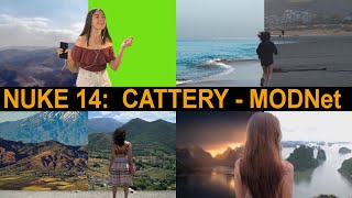 NUKE TUTORIAL  NUKE14  CATTERY  MODNet [upl. by Froh226]