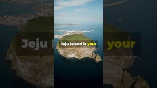 Discover the Magic of Jeju Island Fun Fact🌴✨ [upl. by Maice]