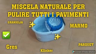 MISCELA NATURALE PER PULIRE TUTTI I PAVIMENTI✅️🔝pavimento cleaning cleaninghacks cleanwithme [upl. by Nita]