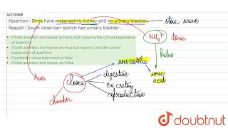 Assertion  Birds have metanephric kidney and no urinary bladder [upl. by Lowney]