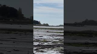 Bosham Chichester Low Tide [upl. by Llemhar]