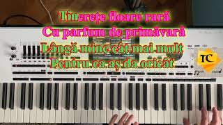 Tinerete floare rară  Karaoke Live [upl. by Gosser525]