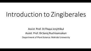 SCPL352 week 1 Introduction to Zingiberales อันดับขิง [upl. by Suinuj]