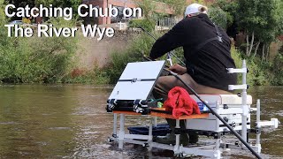 Chub on the River Wye [upl. by Nesral628]