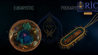 Cell Structure amp Function Explained  Eukaryotic Cells  1st Year Biology  education ricattock [upl. by Tann]