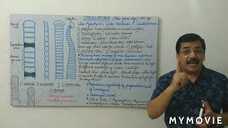 Oscillatoria amp Gaidukov phenomenon [upl. by Adnaluoy]