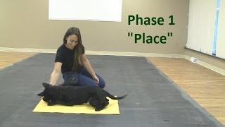 How to Train a Dog to Go to a quotPlacequot Mat K91com [upl. by Mcclain601]