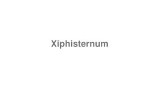 How to Pronounce quotXiphisternumquot [upl. by Oribel868]