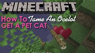 How to Tame Ocelots in Minecraft [upl. by Akiehsat]