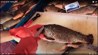 SAZAN NASIL TEMİZLENİR how to clean carp BALIK TEMİZLEME  BALIK PİŞİRME [upl. by Sherilyn586]