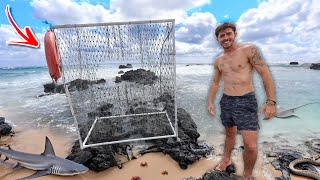 I built the WORLDS LARGEST Saltwater Fish Trap on an Island [upl. by Papst]