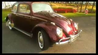 Classic Vintage 1960 VW Volkswagen Beetle Bug Restored Sedan [upl. by Liberati492]