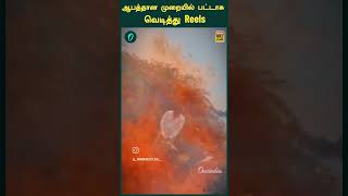 ஆபத்தான முறையில் பட்டாசு வெடித்து Reels  Oneindia Tamil [upl. by Sitto]