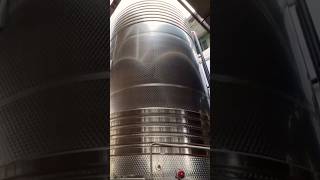 100 000 liters wine terracina italy tour winemaking winery grape italiancuisine [upl. by Eifos]