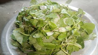 daari ka saag mausami saag recipegaon ke khane ka swad [upl. by Daley]