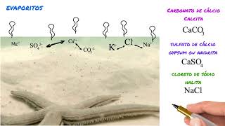 Evaporitos  como se forma a calcita o gypsum e a halita GT7 [upl. by Acitel]