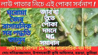 যে ভুলে দমন হয়না জাব পোকা । Get Rid Of Aphid । Organic Insecticide। Foolproof Control And Prevention [upl. by Odlanar433]