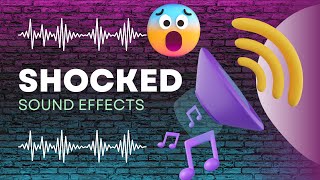 Shocked Sound Effect [upl. by Peacock]