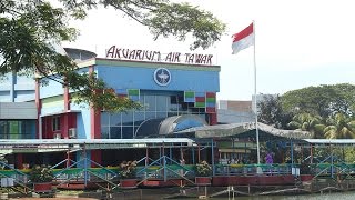 Akuarium Air Tawar TMII  Taman Mini Indonesia Indah [upl. by Ytsirk112]