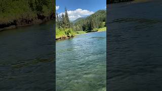 Jet boat Stikine river [upl. by Aniroc]