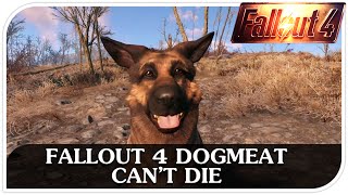 FALLOUT 4 Dogmeat Can’t Die [upl. by Diena249]