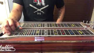 “Dust On The Bottle” Pedal Steel Instruction [upl. by Dare454]