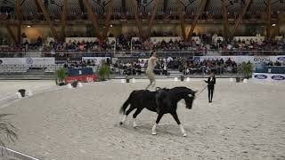 Dianne van der Lee  ter Meulen freestyle [upl. by Agler344]