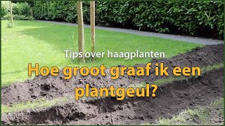 Hoe groot graaf ik een plantgeul  Tips over Haagplanten [upl. by Marena]