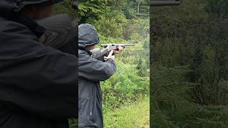 Shooting the Browning BLR precisionrifle hunting shootingtime [upl. by Cirdahc876]