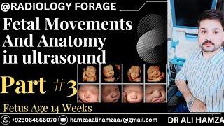 Fetal Movements  Complete Fetal Anatomy  Part 3 [upl. by Euqinomahs]