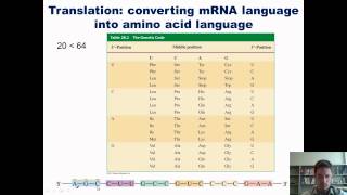 Chapter 28 – Nucleic Acid Chemistry Part 2 of 2 [upl. by Syla]