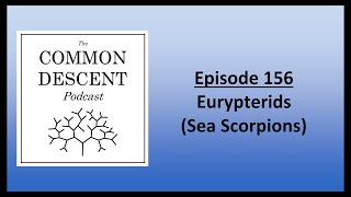 Episode 156  Eurypterids Sea Scorpions [upl. by Deth]